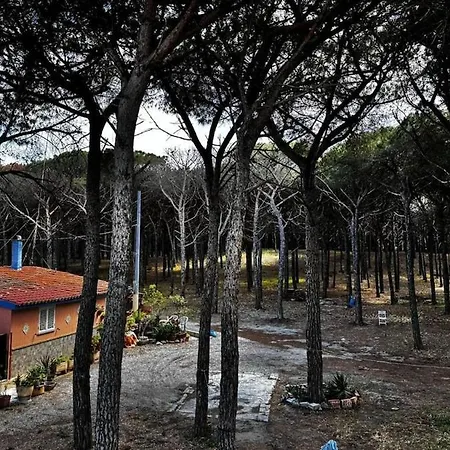 La Pineta - Between The Pine Forest And The Sea Santa Lucia