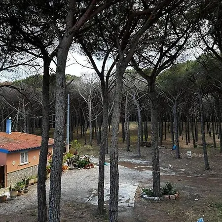 La Pineta - Between The Pine Forest And The Sea *