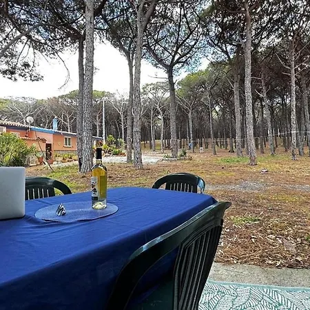 Apartman La Pineta - Between The Pine Forest And The Sea